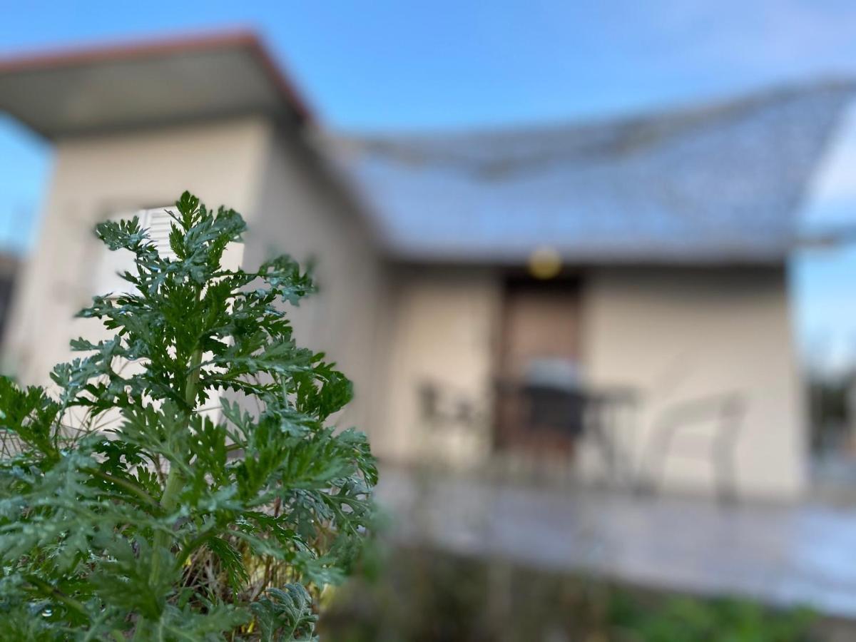 Vromonérion Riqionian House 빌라 외부 사진